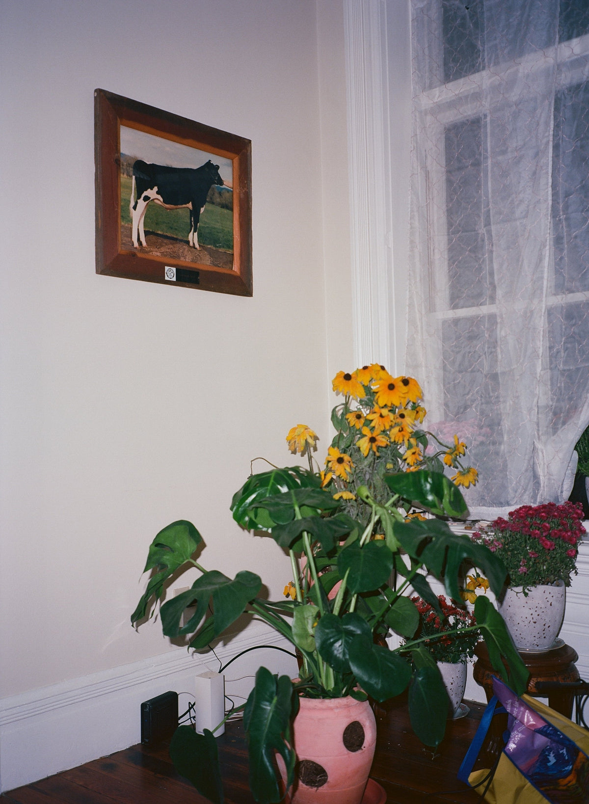Without A Home