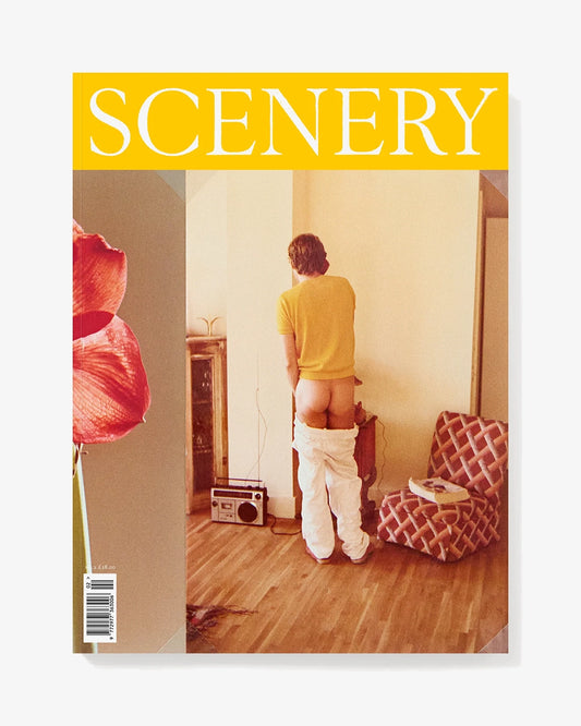 Scenery Number Two (Cover One)