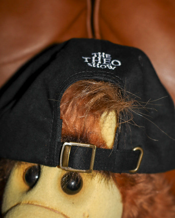 Close-up of a plush with a black cap labeled 'The Theo Show' on a brown background.