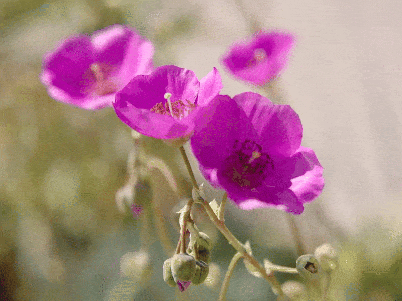 Load video: Theo Martins &amp; Thelonious Martin - From Me To You (PT. 2)