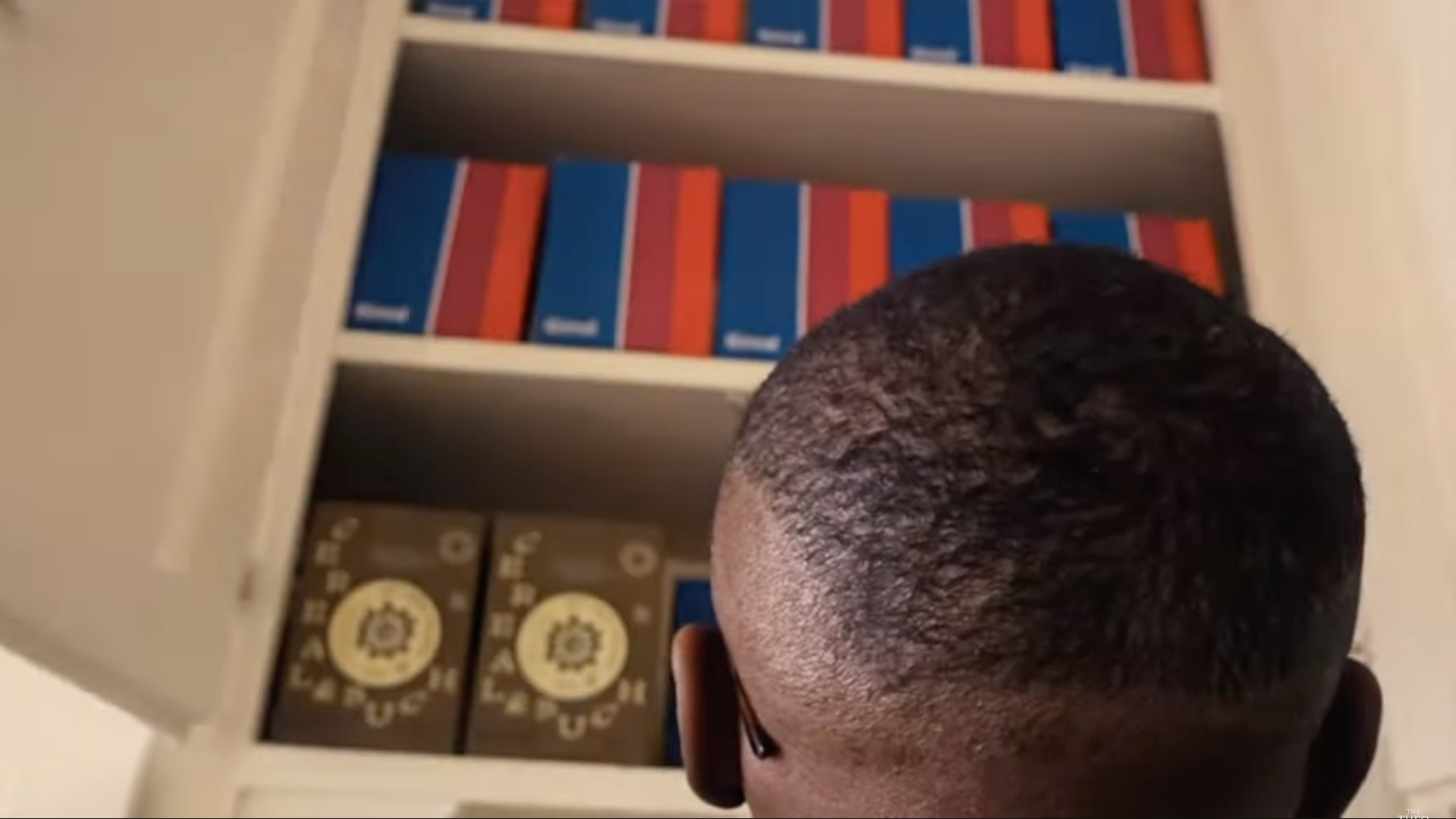 Person looking at a shelf with boxes, including a prominent cereal brand box.
