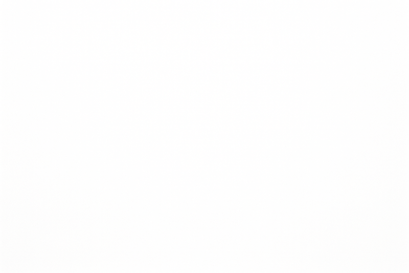 a solid white background in a square aspect ratio size