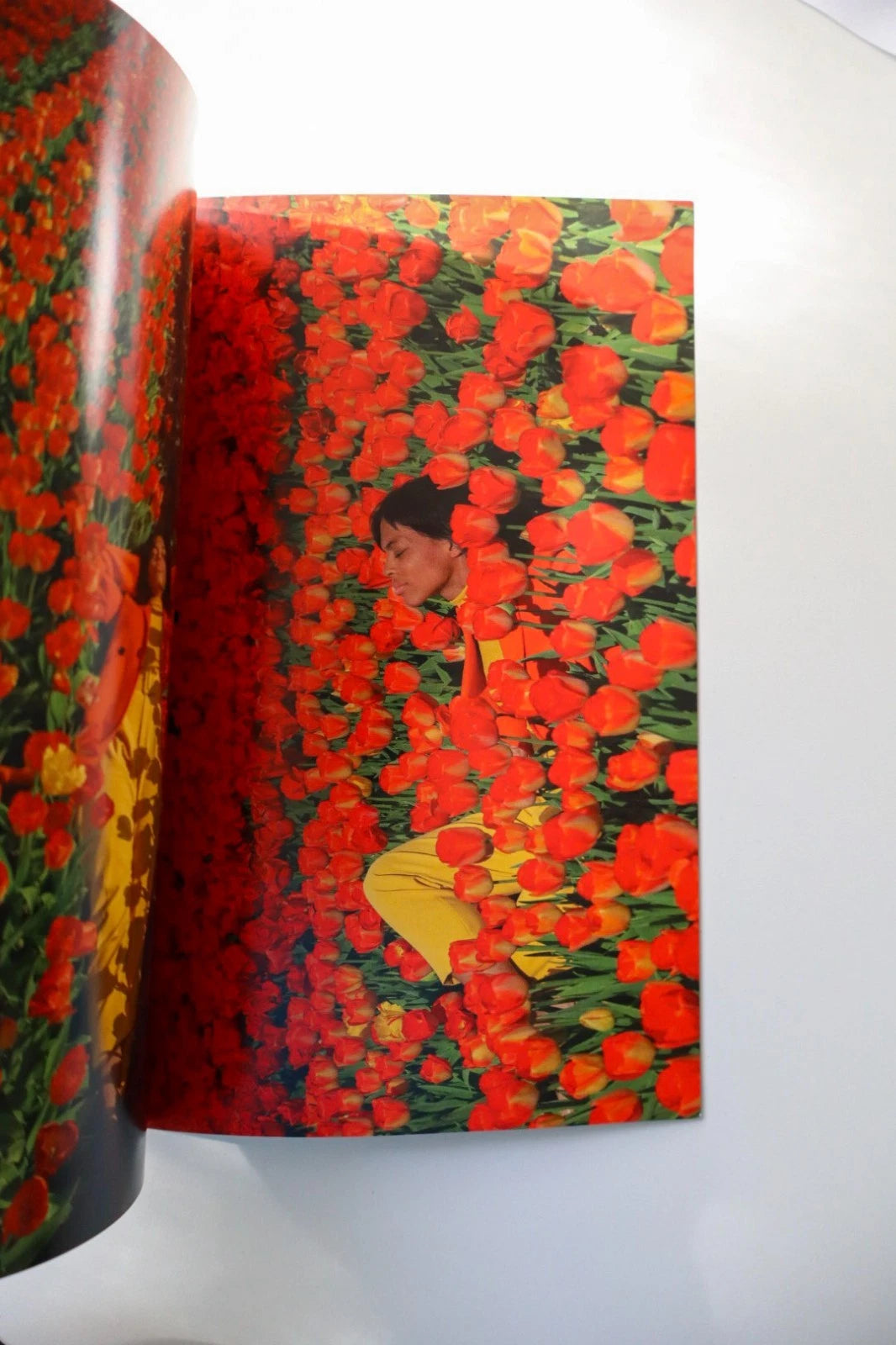 Shirley Kurata / Francis Ford Coppola Zoetrope Magazine - Issue 28