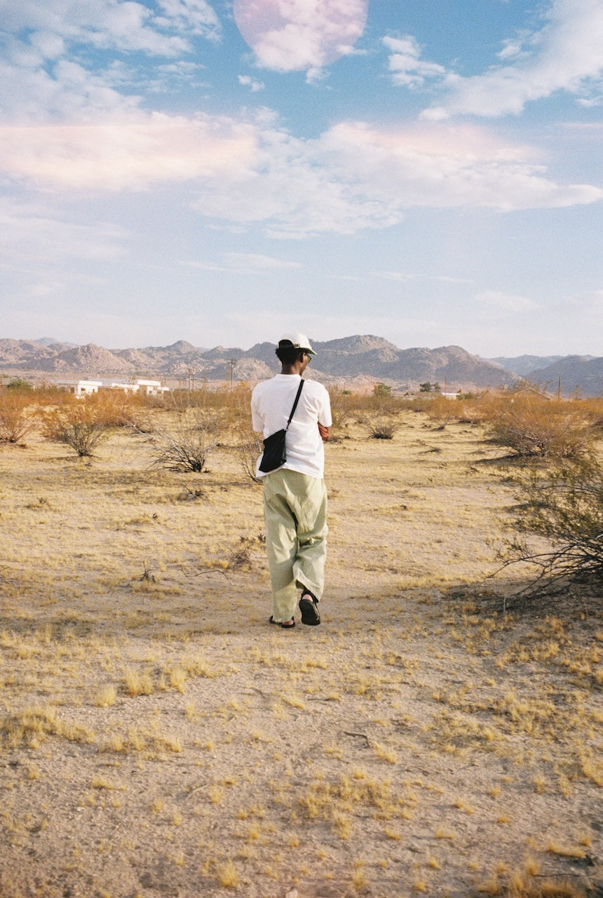 Person walking through a desert landscape with mountains in the background